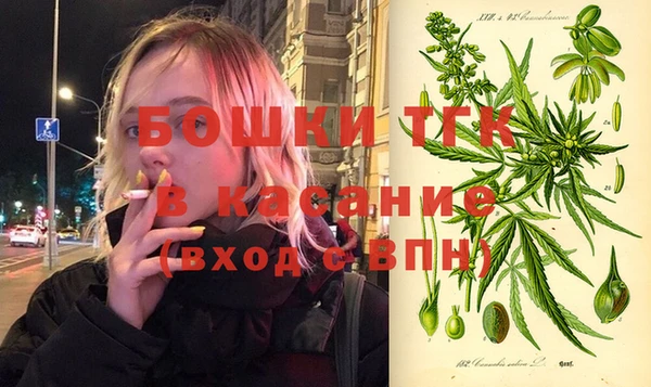 гашик Нефтекумск