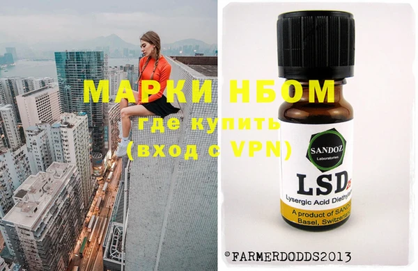 гашик Нефтекумск