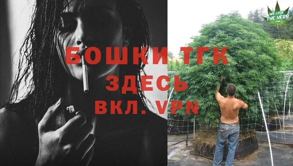 ALPHA PVP Ветлуга