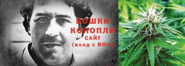 гашик Нефтекумск