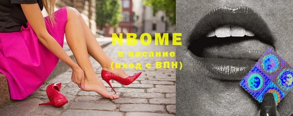 гашик Нефтекумск