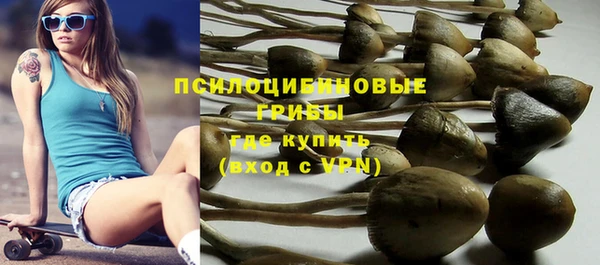 гидропоника Нея