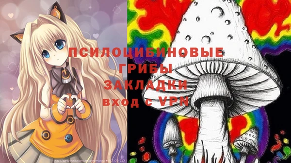 гашик Нефтекумск